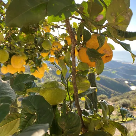 ヴィラ Lantana Sayalonga