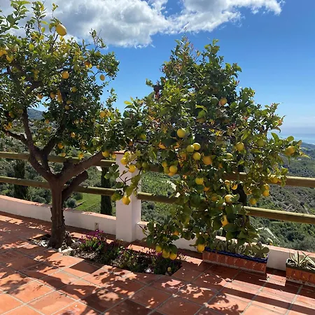 Lantana Villa